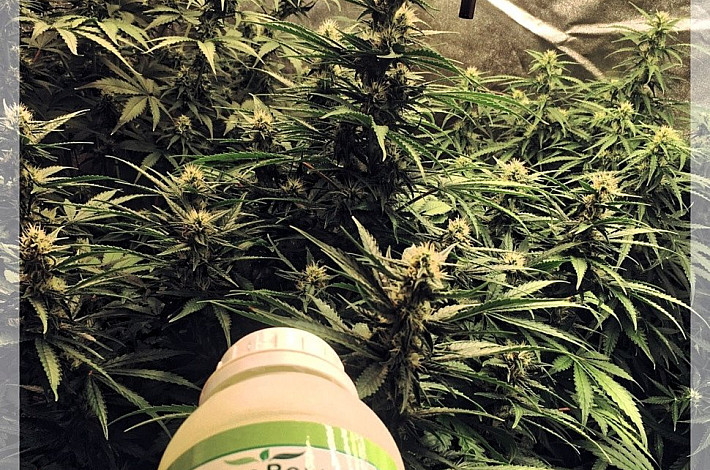 photo_2020-03-12 16_Fotorgggggggg