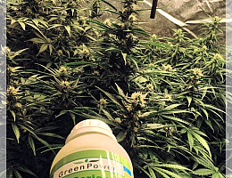 Завершающий штрих