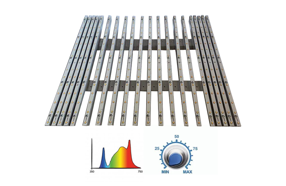 Phytolampes - phytolights