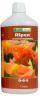 Изображение товара Flora series Ripen GHE 0 - 6 - 5 
