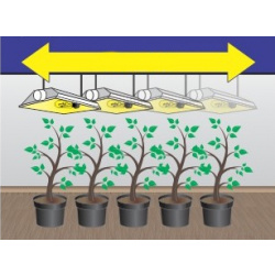 Lightmover (light mover, Light Rail) = lumière progressive - assurera le déplacement de la lampe au dessus des plantes