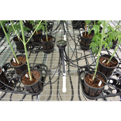 Set pour arroser les plantes dans la growbox + pompe