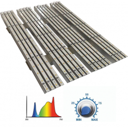 PhytoLampes pour boîtes de culture