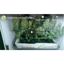 Soft GHE - comptage xls automatique