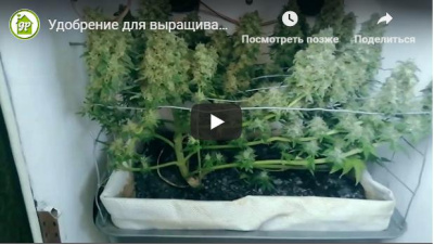 Soft GHE  - автоматический подсчет  xls