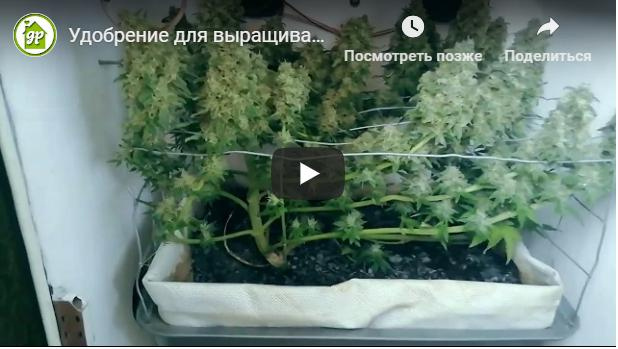 Подробное описание Подробное описание Soft GHE  - автоматический подсчет  xls отзывы экспертов преимушества и недостатки Green Power отзывы экспертов преимушества и недостатки Green Power