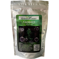 Récolte (Mûrissement + CO2)