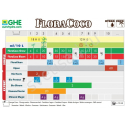 Flore Coco Bloom GHE 1-6-4