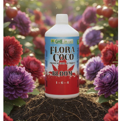 Flore Coco Bloom GHE 1-6-4