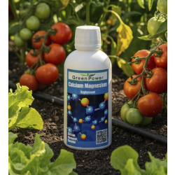 Calcium Magnésium /Calcium Magnésium