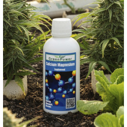 Calcium Magnésium /Calcium Magnésium