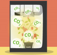Unité d'alimentation en dioxyde de carbone (CO2)