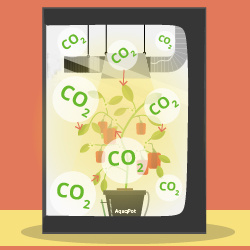 Unité d'alimentation en dioxyde de carbone (CO2)