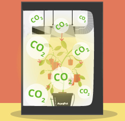 Установка подачи углекислого газа (СО2)