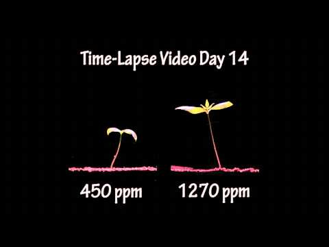 Мы предлагаем широкий ассортимент продукции: Carbon dioxide (CO2) supply unit . Прямые поставки от производителя, гарантии качества и доставка по всей Украине
