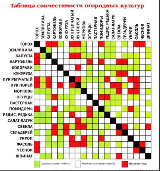 Вот Какие растения в кормлении поже на другие