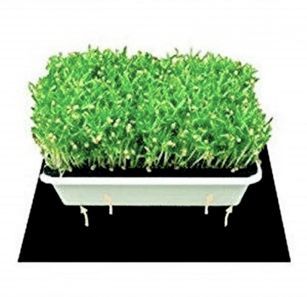 Купить Электрический коврик с подогревом для растений с регулятором температуры от производителя