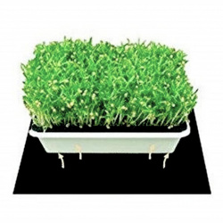 Tapis chauffant électrique pour plantes