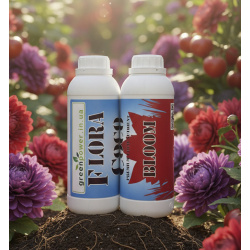 Flora Coco Bloom Green Power 1 - 6 - 4