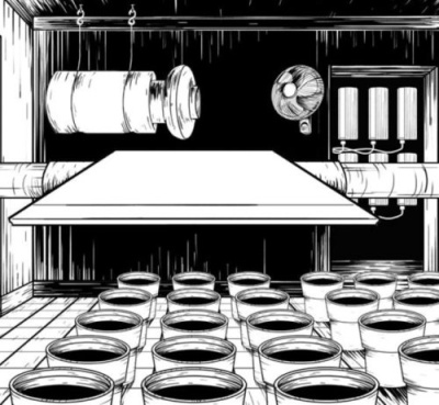 Обустройство гроурумов, гроу-теплиц под заказ