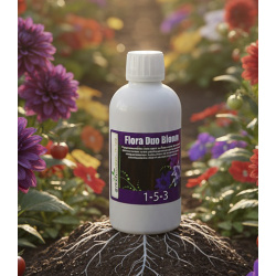 Flora Duo Bloom Green Power