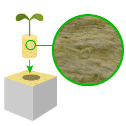 laine minérale pour plantes
