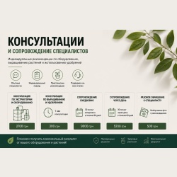 Консультации
