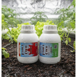 Coffret Coco : Flora Coco Bloom + Flora Coco Grow