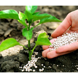 Pekacid Pekacid (Pekacide)