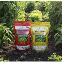 Engrais pour le stade VÉGÉTATION en plein champ