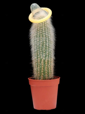 Защита растений от опыления