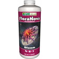 Flore Nova Bloom