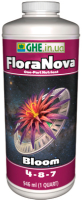 Flora Nova Bloom