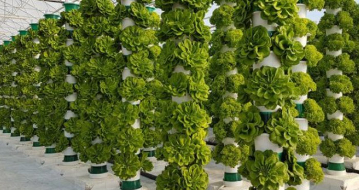 вертикальная гидропоника под ключ