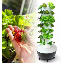 culture hydroponique verticale