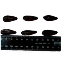 stimulateur de taille de graine