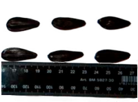 Стимулятор размера семечки