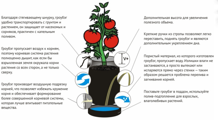 Мы предлагаем широкий ассортимент продукции: Fabric flower pot Growbag 7.7 l . Прямые поставки от производителя, гарантии качества и доставка по всей Украине