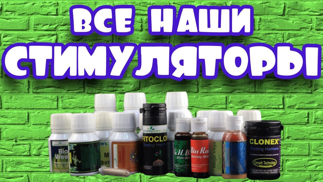 Всі наші стимулятори